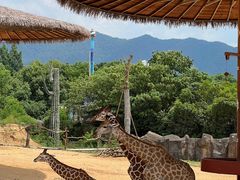 -杭州野生动物世界