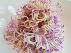 -大拙里·精致融合菜(沙湖桃源国际店)