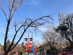 -陕拾叁-西安糕点(大雁塔店)