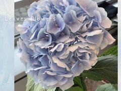 -王裕興肉莊(南禅寺店)