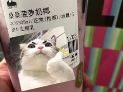 -LELECHA乐乐茶(百货大楼店)