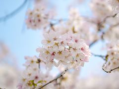 -龙美术馆(西岸馆)