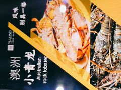 -裕龙汤泉