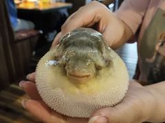 -永安鱼庄·镇江菜(丁卯店)