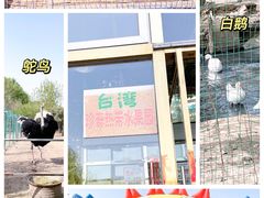 -第五季龙水凤港生态露营农场