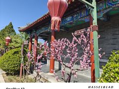 -有喜胶东小馆(太申祥和店)