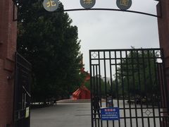 -桃花堤公园