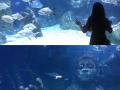 -暹罗海洋世界