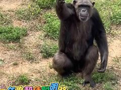 -石家庄市动物园