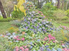 -云溪植物园