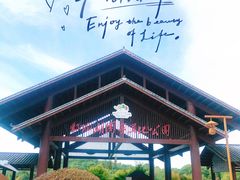 -鄱阳湖国家湿地公园