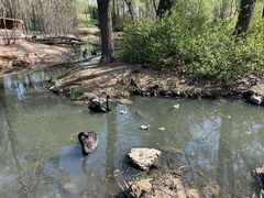 -济南野生动物世界