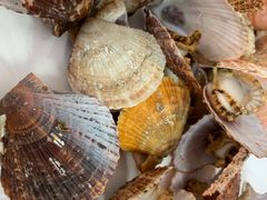 -宾朋海鲜特色美食餐厅·纯手工鲅鱼水饺(兴海路店)