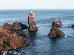 -涉地可支