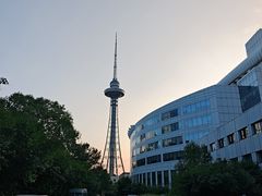 -龙塔