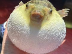 -永安鱼庄·镇江菜(东吴路店)