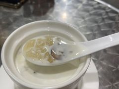 鲜奶椰汁雪蛤膏-华生行(大良店)