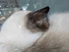 -乐宠宠物店(世纪金源店)