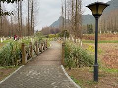 -贵阳市花溪国家城市湿地公园