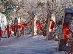 -终南山南五台景区