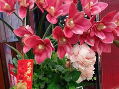 -丰谷茶楼(鸿大广场店)