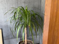 -陈熹公民族美食文化餐厅(中华广场店)