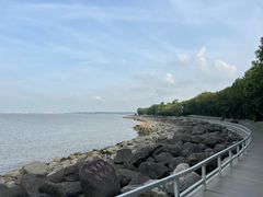 -上海吴淞炮台湾国家湿地公园