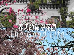 -南山植物园