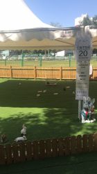 -萌宠亲子动物乐园(槐房万达店)