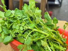 西洋菜-濠轩阁特色生蚝火锅总店