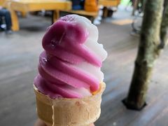 -西双版纳原始森林公园
