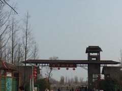 -泗洪洪泽湖湿地景区