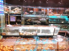 -金翠皇宫粤菜·点心·海鲜(科技园店)