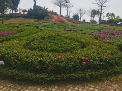 -东莞植物园