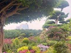 -南宁南湖公园