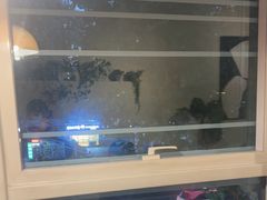 -三猫黑鱼花(南大店)