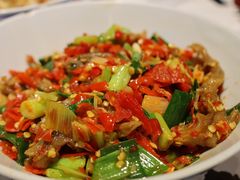 -壹盏灯(惠农店)