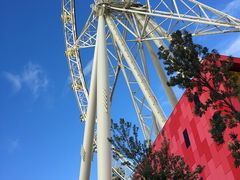 MelbourNe&nbsp;Star&nbsp;Observation&nbsp;Wheel-墨尔本之星 观景摩天轮