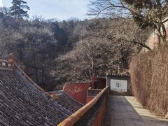 -潭柘寺景区