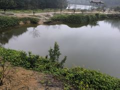 -南国桃园旅游度假区