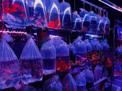 -华声天桥民俗文化园