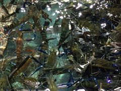 -渔民新村(番禺总店)