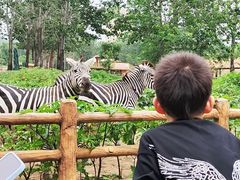 -大连森林动物园