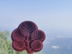 -香山公园