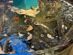 -魏铭鱼头捞饭(晋阳路店)