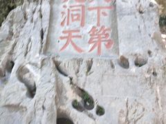 -林屋梅海青梅保护基地