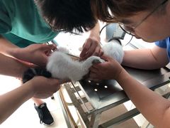 -畜牧兽医站(共江路店)