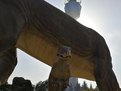 -陕西自然博物馆