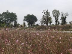 -汉长安城未央宫国家考古遗址公园