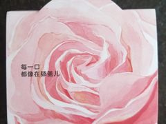 -乐纯(苹果社区店)